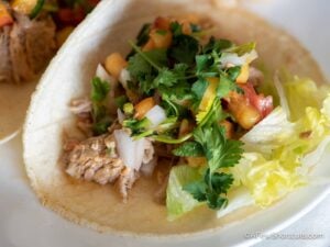 Instant Pot Peach Salsa Pork Roast Recipe