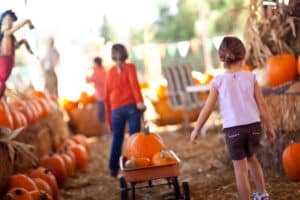 9 Affordable Family Fun Ideas for Fall