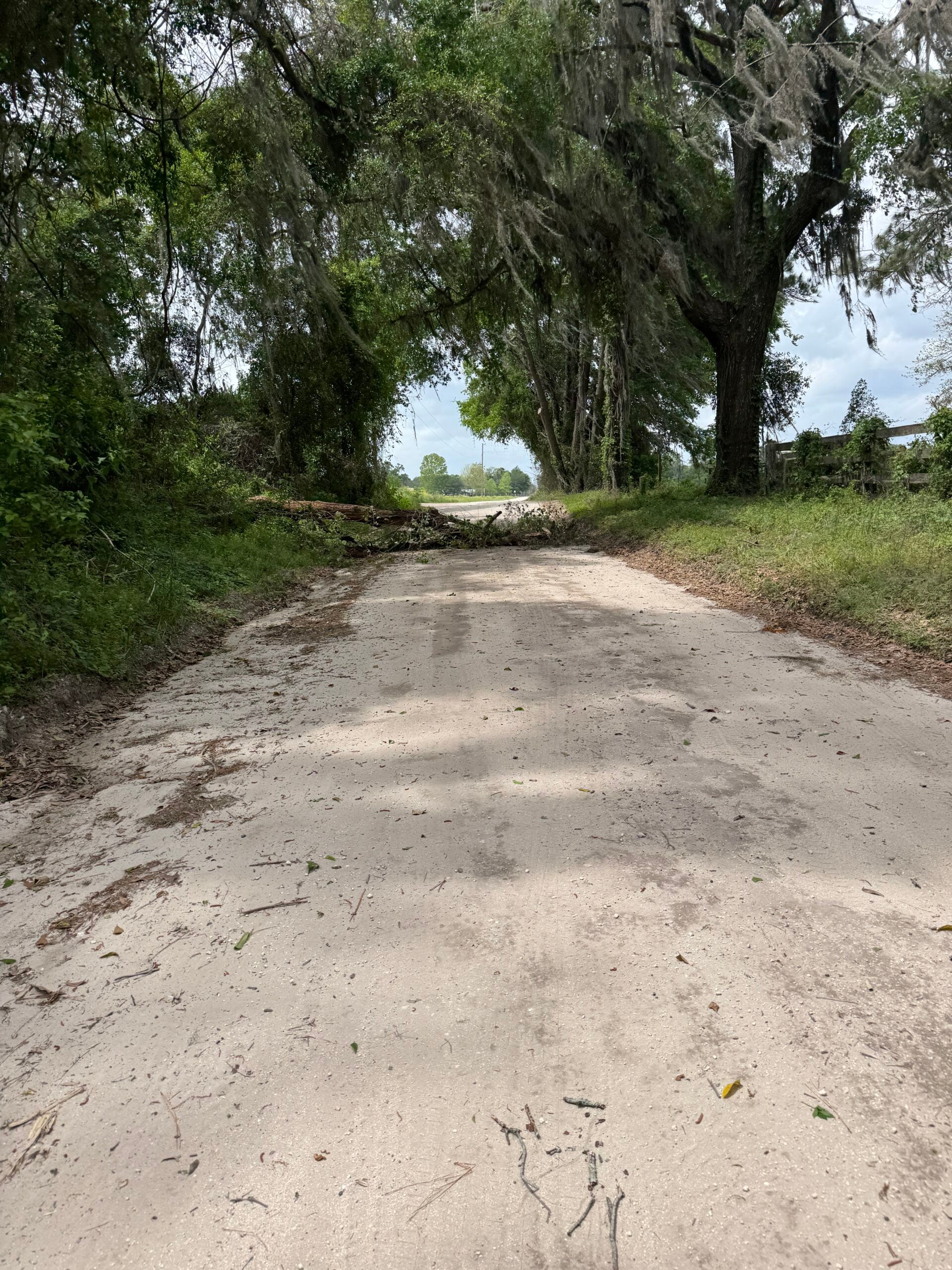 rural road with starlink accessibility